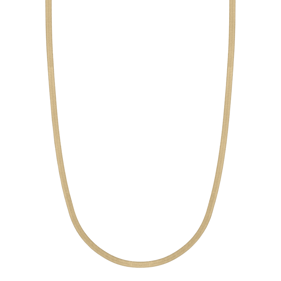 Marena Gold Herringbone Flat Chain Necklace I Bonheur Jewelry