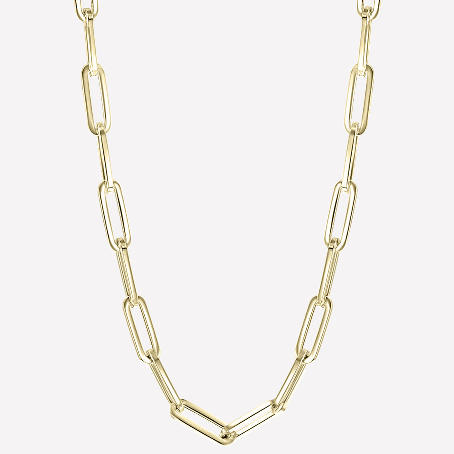 Liz Thick Chain Necklace