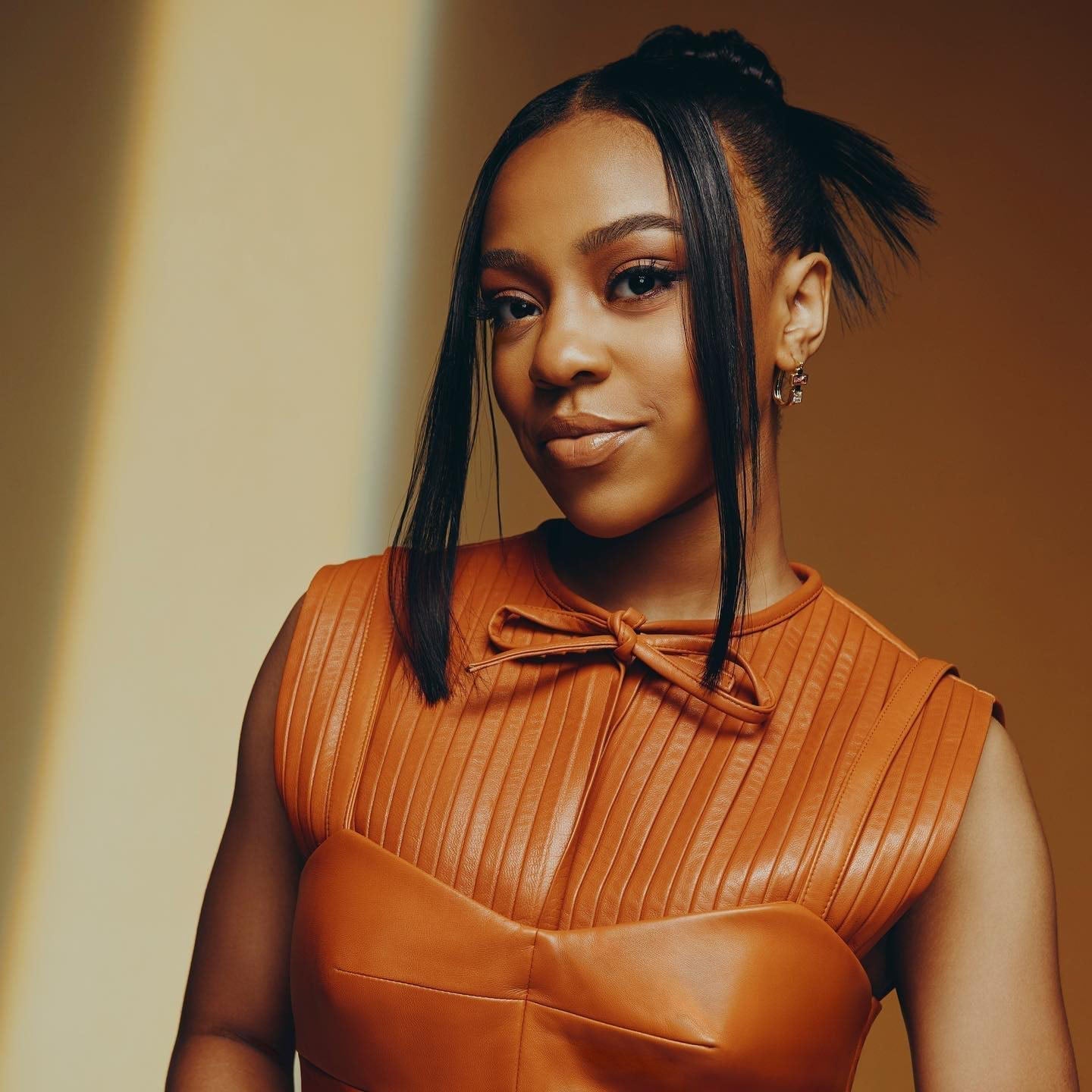 Women's U Hoops Earrings by Bonheur Jewelry NYC-pink u shaped hoop earrings​ near me 